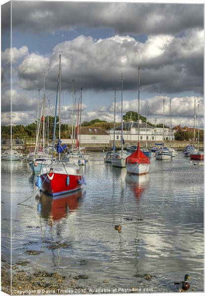Hill Head Harbour Canvas Print by David Tinsley