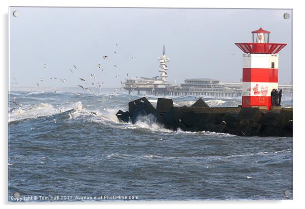 Dutch sea scen e Acrylic by Tom Hall
