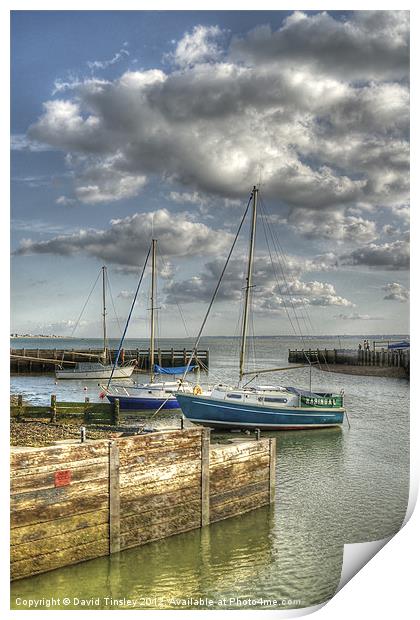Solent View Print by David Tinsley