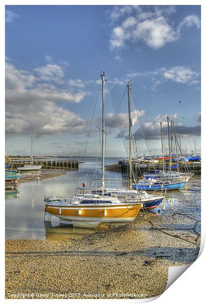 Tides Out Print by David Tinsley