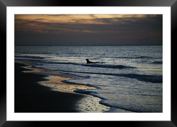 Serenity Framed Mounted Print by Tom Hall