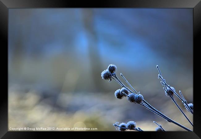 cold Framed Print by Doug McRae