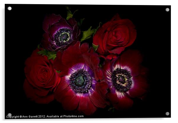 Crimson Velvet Acrylic by Ann Garrett