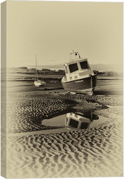 Alnmouth Canvas Print by Northeast Images
