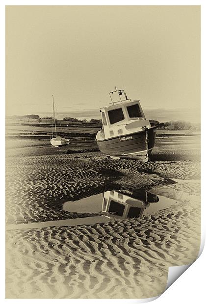 Alnmouth Print by Northeast Images
