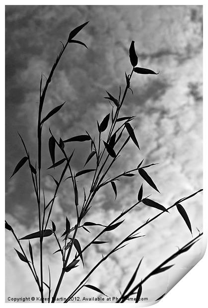 Bamboo Sky Print by Karen Martin