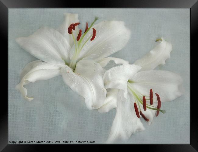 White Lillies Framed Print by Karen Martin