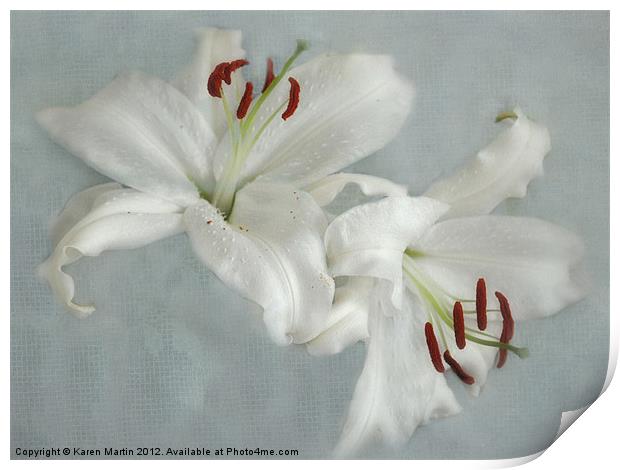 White Lillies Print by Karen Martin
