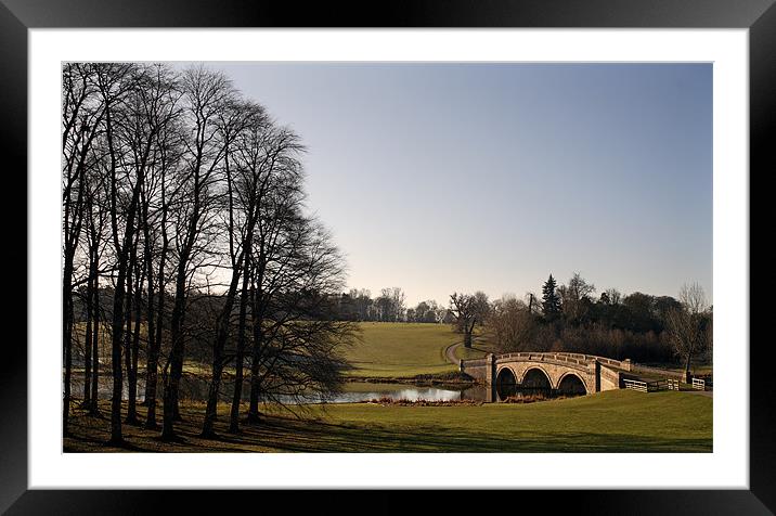 Blenheim Palace Park Framed Mounted Print by david harding