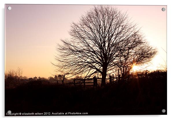 Tree with Sunset Acrylic by Elizabeth Wilson-Stephen