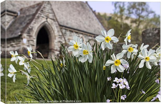 Spring In The Churchyard Canvas Print by Lynne Morris (Lswpp)