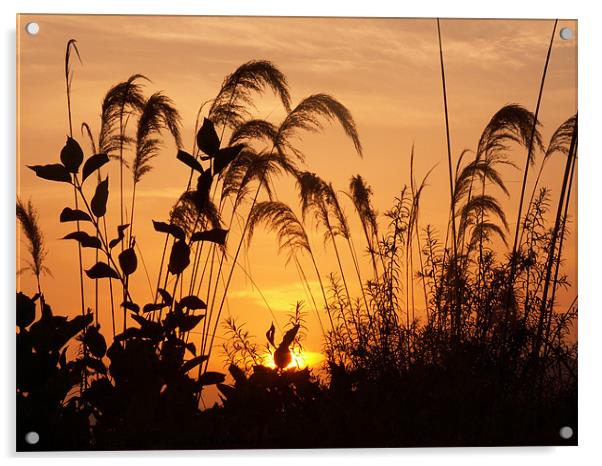 Sunset Loch Lomond Acrylic by Mark King