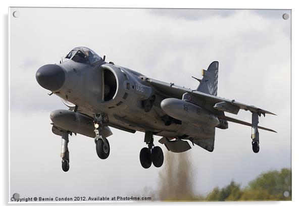 Sea Harrier FA2 Acrylic by Bernie Condon