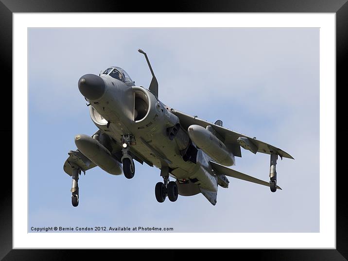 Royal Navy Sea Harrier Framed Mounted Print by Bernie Condon