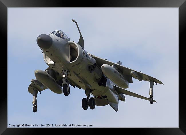 Royal Navy Sea Harrier Framed Print by Bernie Condon