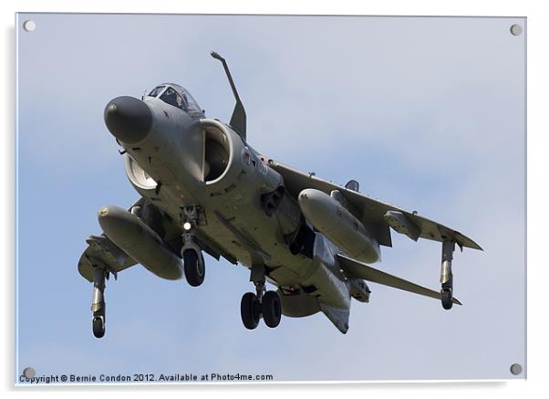 Royal Navy Sea Harrier Acrylic by Bernie Condon