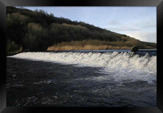 Lopwell Dam near Plymouth, Devon Framed Print by Nigel Barrett Canvas