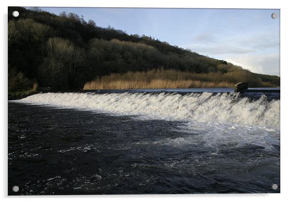 Lopwell Dam near Plymouth, Devon Acrylic by Nigel Barrett Canvas