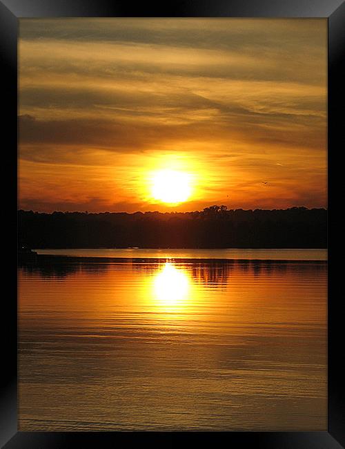Sunset in Washington D.C Framed Print by sean walters