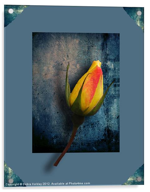 Yellow rose Acrylic by Debra Kelday