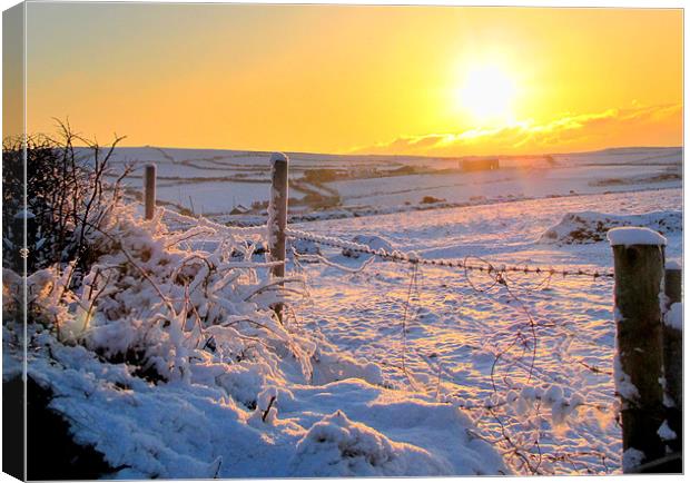 Morning in Ireland Canvas Print by barbara walsh