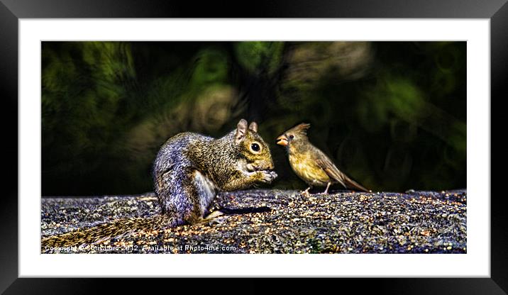 Forest Friends Framed Mounted Print by Chris Lord