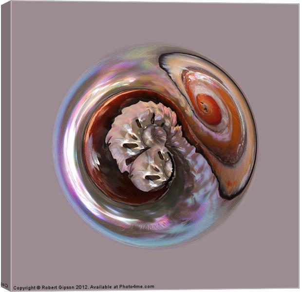 Spherical shell Canvas Print by Robert Gipson