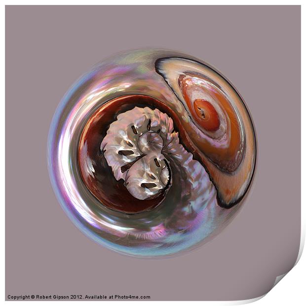 Spherical shell Print by Robert Gipson