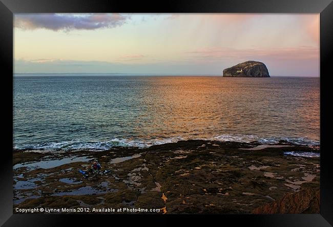 Sunset Over Bass Rock Framed Print by Lynne Morris (Lswpp)