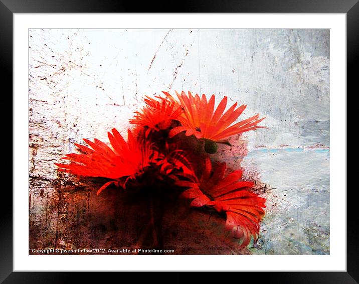 floral abstract Framed Mounted Print by joseph finlow canvas and prints