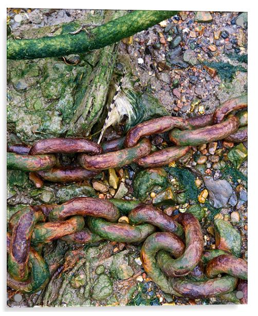 Beach chains II Acrylic by Gary Eason