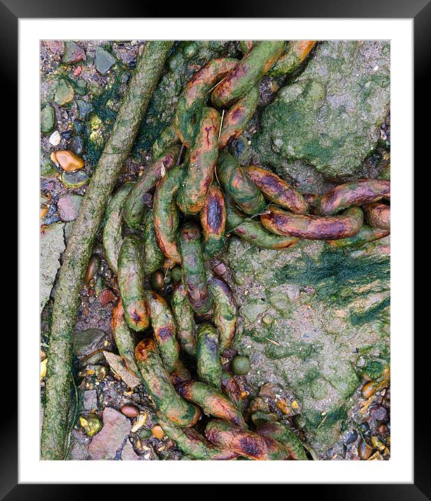 Beach chains I Framed Mounted Print by Gary Eason