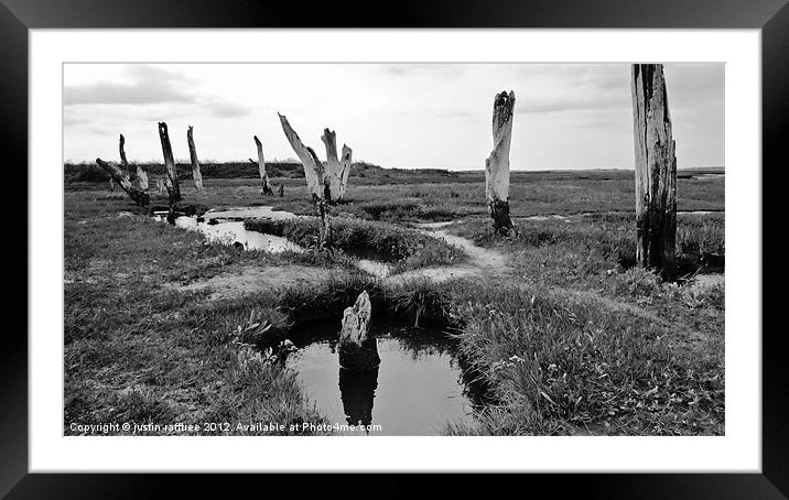 Dead Forest At Thornham Marsh Framed Mounted Print by justin rafftree