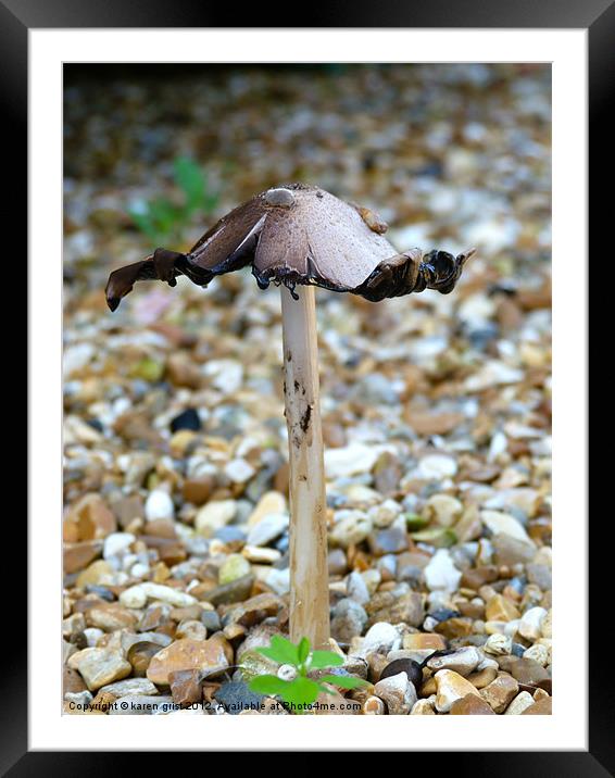 Lonely mushroom Framed Mounted Print by karen grist
