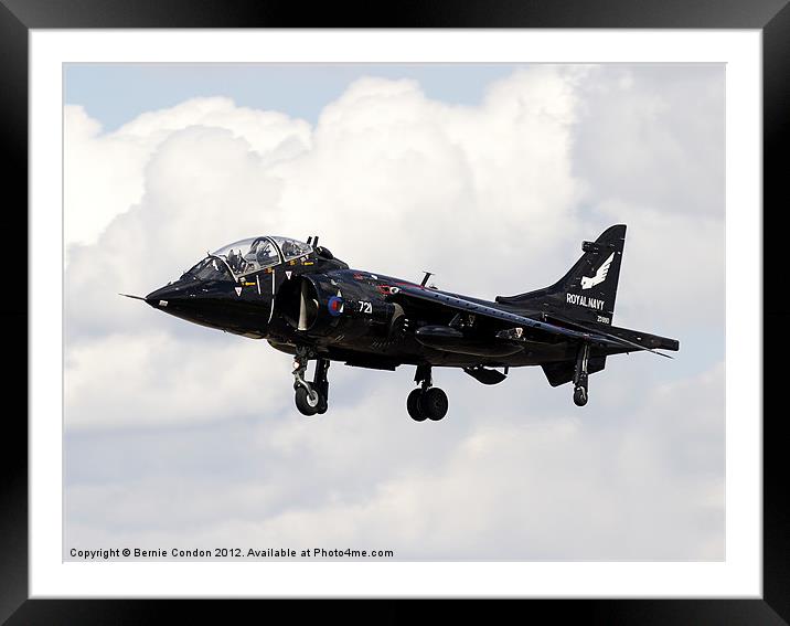 Royal Navy Harrier T4(N) Framed Mounted Print by Bernie Condon