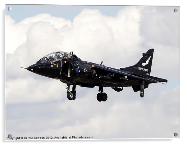 Royal Navy Harrier T4(N) Acrylic by Bernie Condon