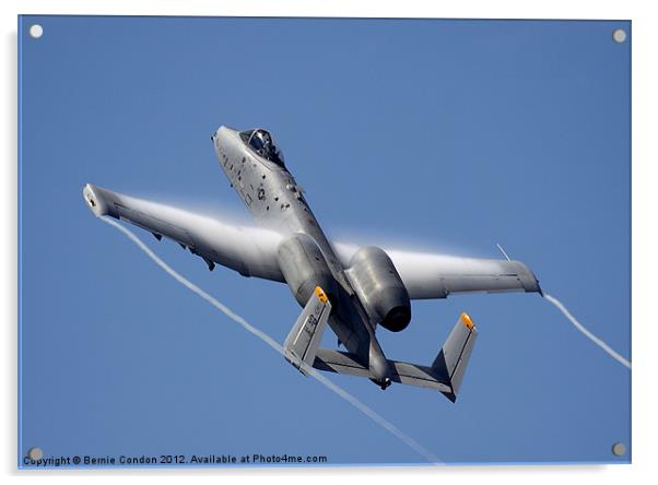 USAF A-10 Thunderbolt Acrylic by Bernie Condon