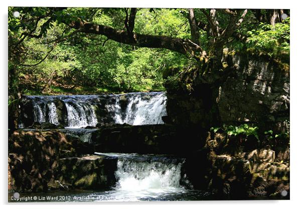 Brecon Beacons Waterfalls Acrylic by Liz Ward