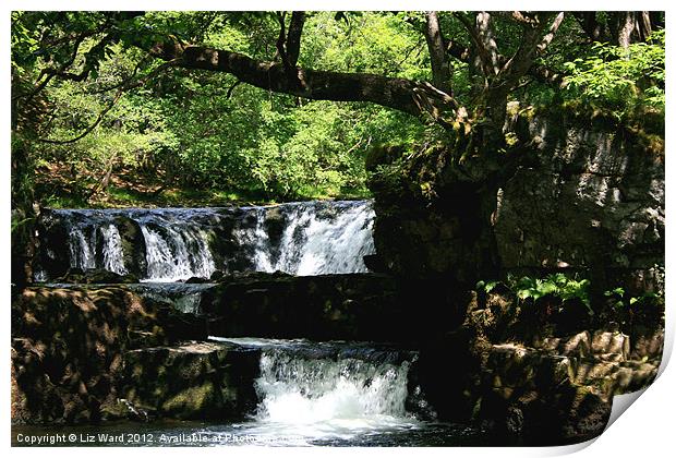 Brecon Beacons Waterfalls Print by Liz Ward