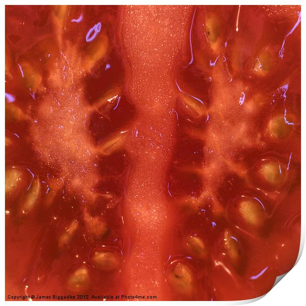 Tomato Flesh Print by J Biggadike