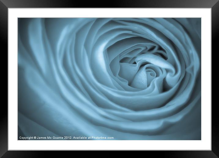 Blue Toned Rose Framed Mounted Print by James Mc Quarrie