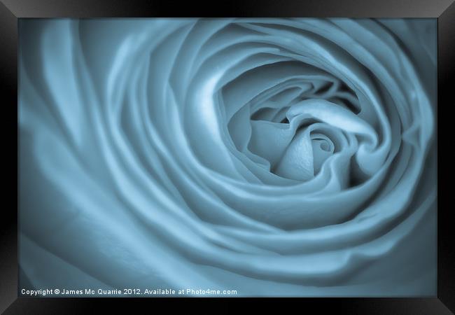 Blue Toned Rose Framed Print by James Mc Quarrie