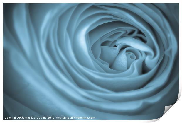 Blue Toned Rose Print by James Mc Quarrie