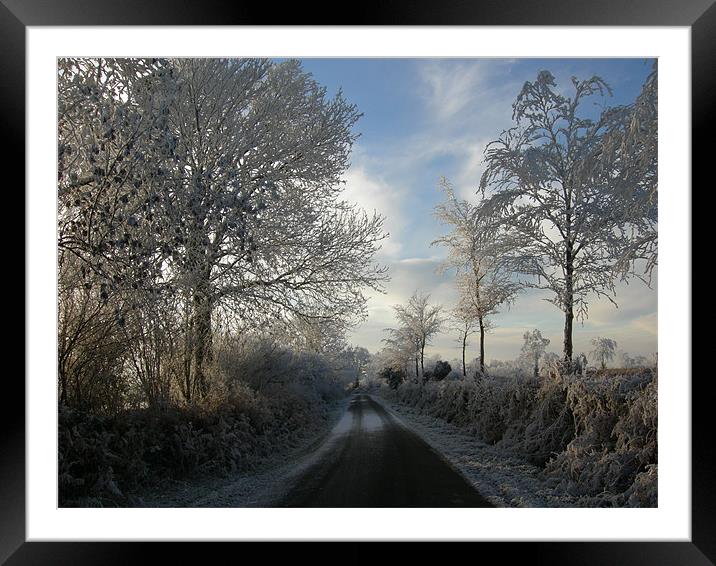 Winter Haw Frost Framed Mounted Print by nicholas austen