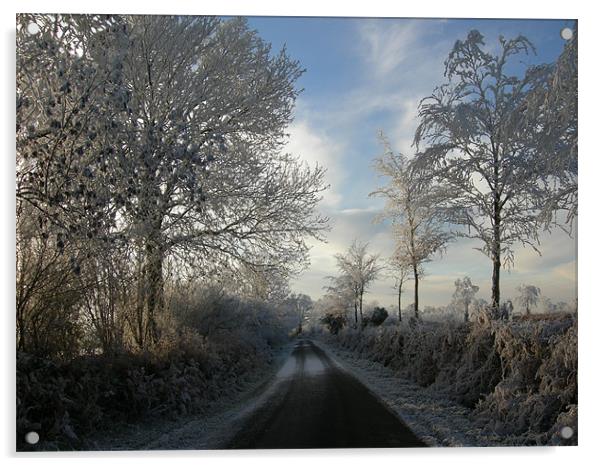 Winter Haw Frost Acrylic by nicholas austen
