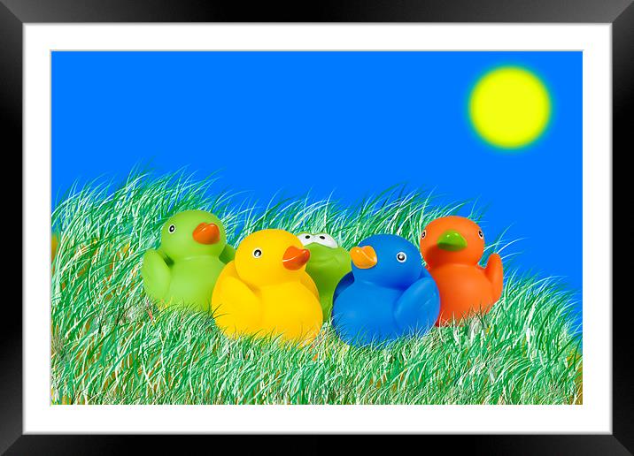 Rubber Ducks Framed Mounted Print by Kevin Tate