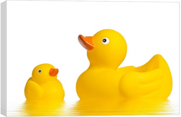 Rubber Ducks Canvas Print by Kevin Tate