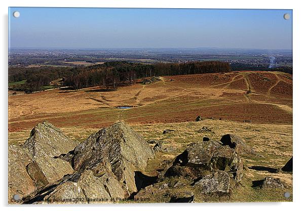 East Leicestershire and beyond Acrylic by Linsey Williams