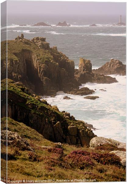 Cornish coast Canvas Print by Linsey Williams