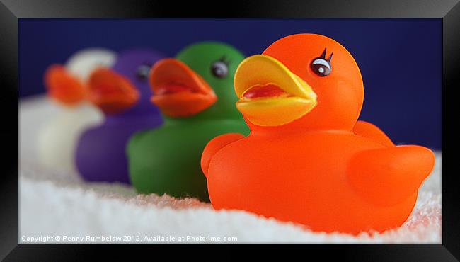 four colourful ducks Framed Print by Elouera Photography